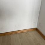 Startseite 7 Schimmelpilzanalysen